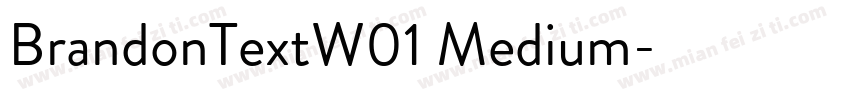 BrandonTextW01 Medium字体转换